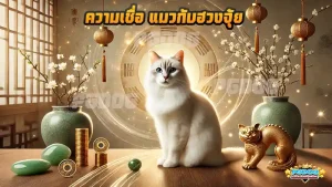ความเชื่อ แมวกับฮวงจุ้ย