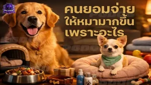 คนยอมจ่าย ให้หมามากขึ้น เพราะอะไร