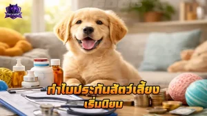 ทำไมประกันสัตว์เลี้ยง เริ่มนิยม