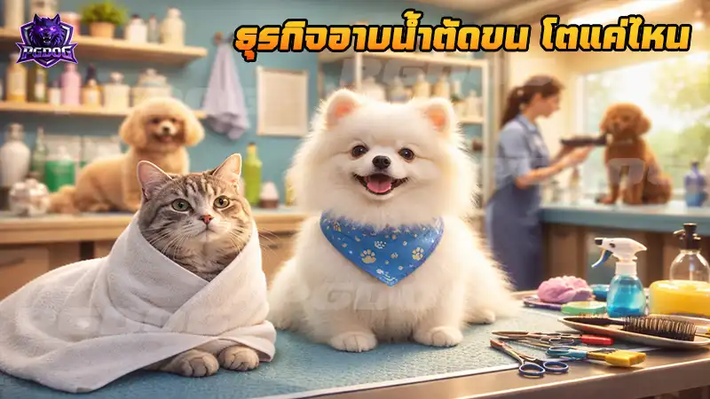 ธุรกิจอาบน้ำตัดขน โตแค่ไหน