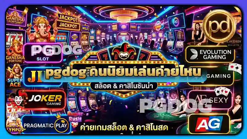 pgdog คนนิยมเล่นค่ายไหน