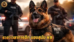 ระยะเวลาการฝึก ของสุนัข K9