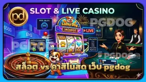 สล็อต vs คาสิโนสด เว็บ pgdog