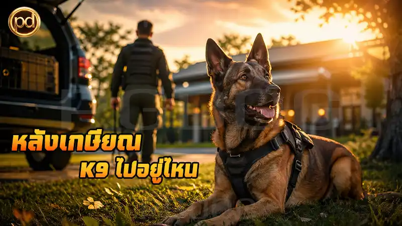 หลังเกษียณ K9 ไปอยู่ไหน