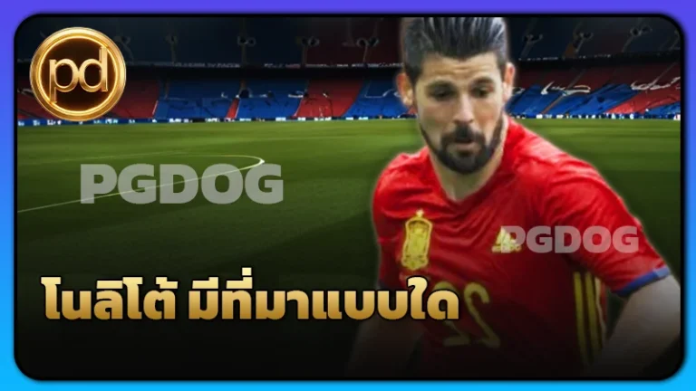 โนลิโต้ มีที่มาแบบใด