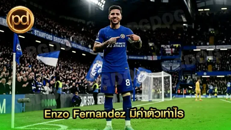 Enzo Fernandez มีค่าตัวเท่าไร