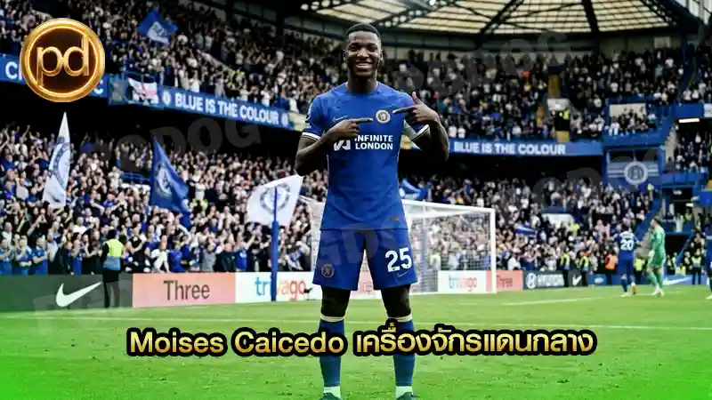 Moises Caicedo เครื่องจักรแดนกลาง