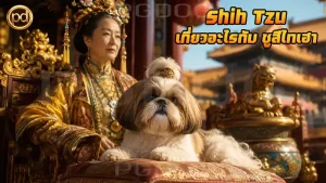 Shih Tzu เกี่ยวอะไรกับ ซูสีไทเฮา