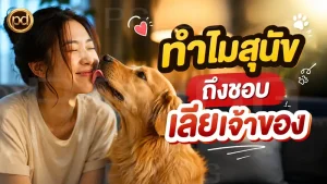 ทำไมสุนัข ถึงชอบ เลียเจ้าของ
