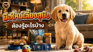 มือใหม่เลี้ยงสุนัข ต้องรู้อะไรบ้าง