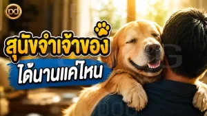 สุนัขจำเจ้าของ ได้นานแค่ไหน