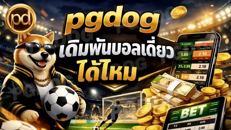 pgdog เดิมพันบอลเดี่ยวได้ไหม