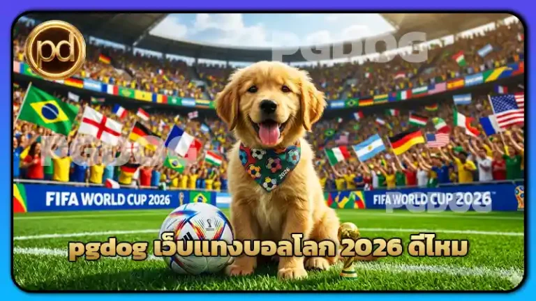 pgdog เว็บแทงบอลโลก 2026 ดีไหม