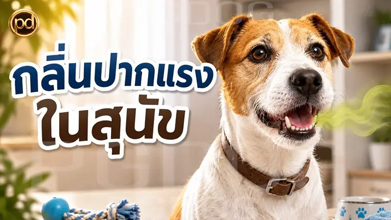 กลิ่นปากแรง ในสุนัข