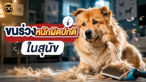 ขนร่วงหนักผิดปกติ ในสุนัข