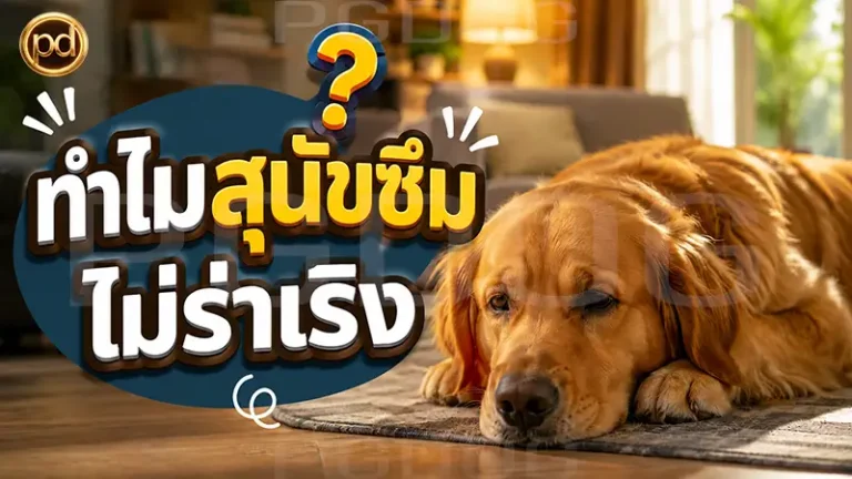 ทำไมสุนัขซึม ไม่ร่าเริง