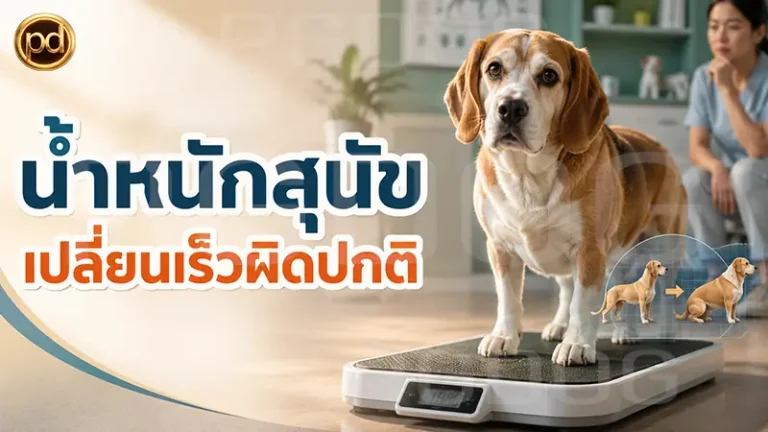 น้ำหนักสุนัข เปลี่ยนเร็วผิดปกติ