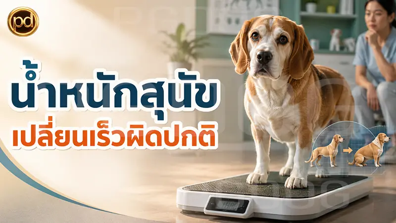 น้ำหนักสุนัข เปลี่ยนเร็วผิดปกติ