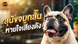 สุนัขจมูกสั้น หายใจเสียงดัง