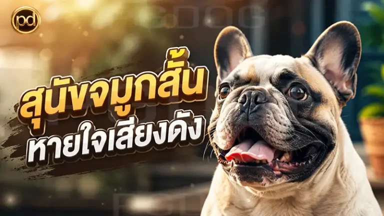 สุนัขจมูกสั้น หายใจเสียงดัง