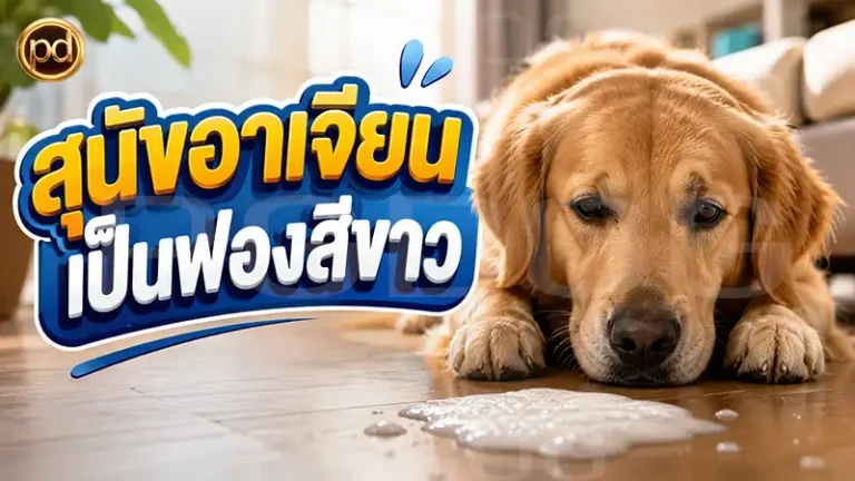 สุนัขอาเจียน เป็นฟองสีขาว