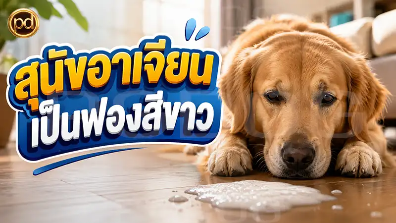 สุนัขอาเจียน เป็นฟองสีขาว