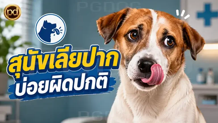 สุนัขเลียปาก บ่อยผิดปกติ