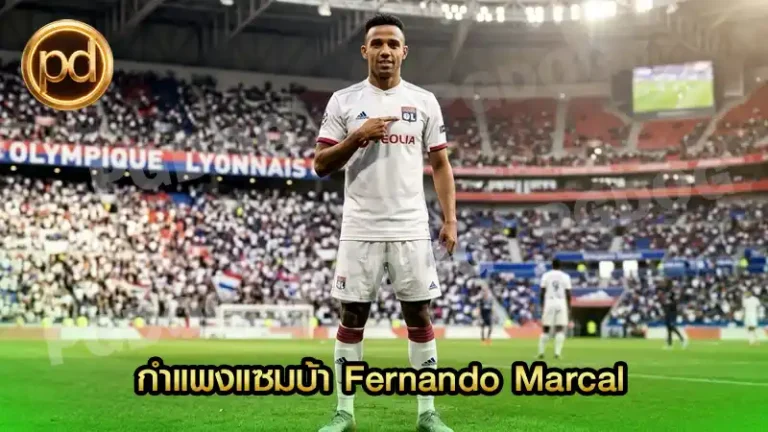 กำแพงแซมบ้า Fernando Marcal