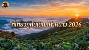 ที่เที่ยวภูทับเบิกหน้าหนาว 2026