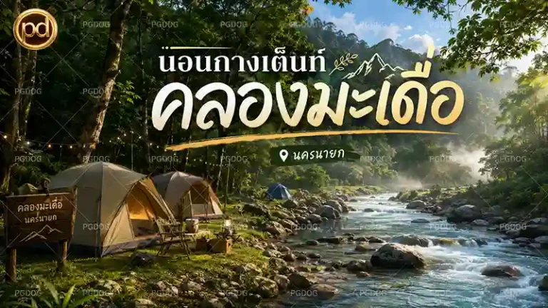 นอนกางเต็นท์ คลองมะเดื่อ