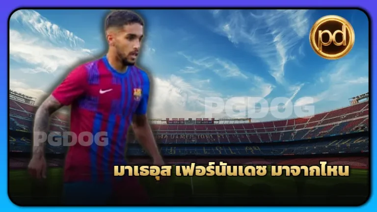 มาเธอุส เฟอร์นันเดซ มาจากไหน