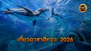 เที่ยวอาซาฮิคาวะ 2026