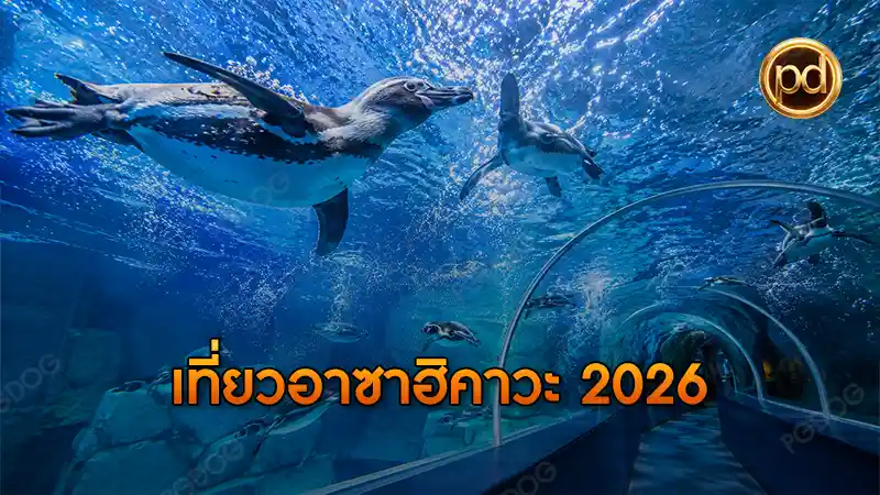 เที่ยวอาซาฮิคาวะ 2026