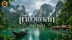 เที่ยวเขาสก หน้าฝน