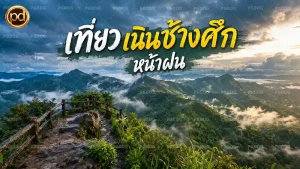 เที่ยวเนินช้างศึก หน้าฝน