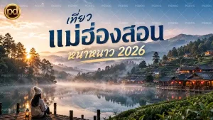 เที่ยวแม่ฮ่องสอนหน้าหนาว 2026
