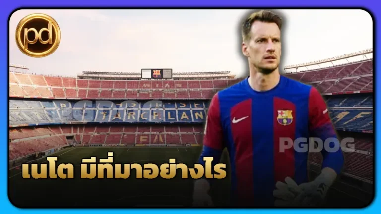 เนโต มีที่มาอย่างไร