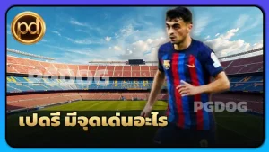 เปดรี มีจุดเด่นอะไร