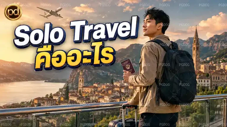 Solo Travel คืออะไร