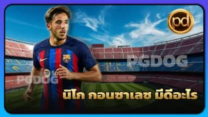 นิโก กอนซาเลซ มีดีอะไร