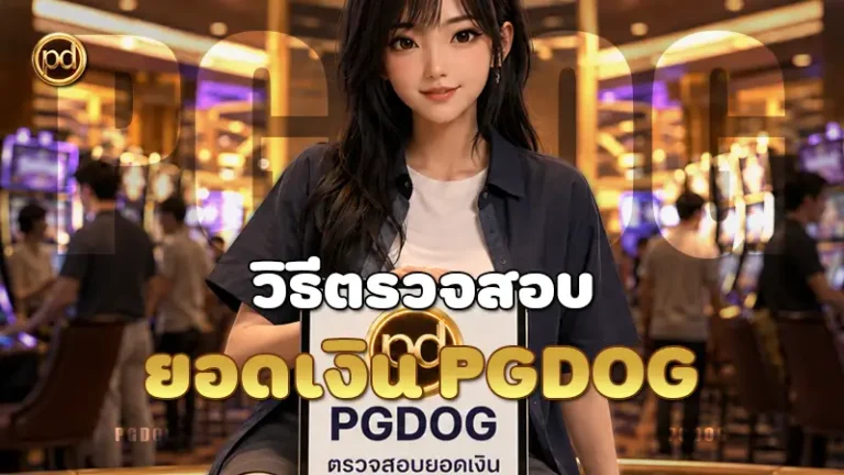 วิธีตรวจสอบ ยอดเงิน PGDOG