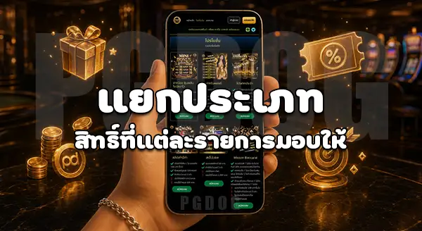 วิธีเลือกโปรโมชั่น PGDOG