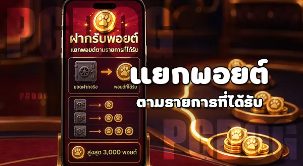 วิธีใช้พอยต์ บน PGDOG
