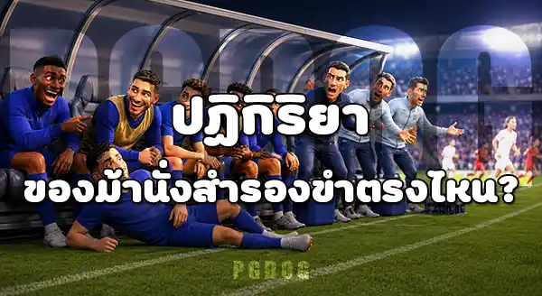 โมเมนต์ชวนขำ บอลโลก 2026