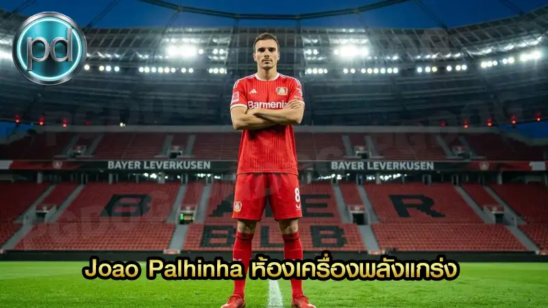 Joao Palhinha ห้องเครื่องพลังแกร่ง