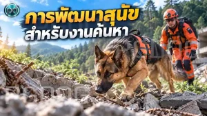 การพัฒนาสุนัข สำหรับงานค้นหา