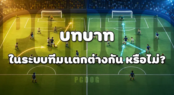 ดาวซัลโว 2026 กับ 2022