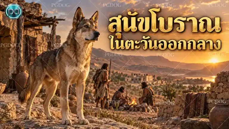สุนัขโบราณ ในตะวันออกกลาง