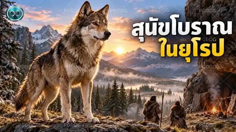สุนัขโบราณ ในยุโรป