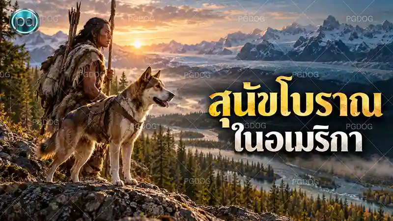 สุนัขโบราณ ในอเมริกา
